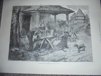 Serbien Beschlagen Ochsen und Pferde bei einer Schmiede 1885 Druck Ref AM