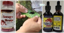 Dragon Bloods CAP & DROPS PURE LIQUID TREE SAP WOUND HEALING CROTON LECHLERI