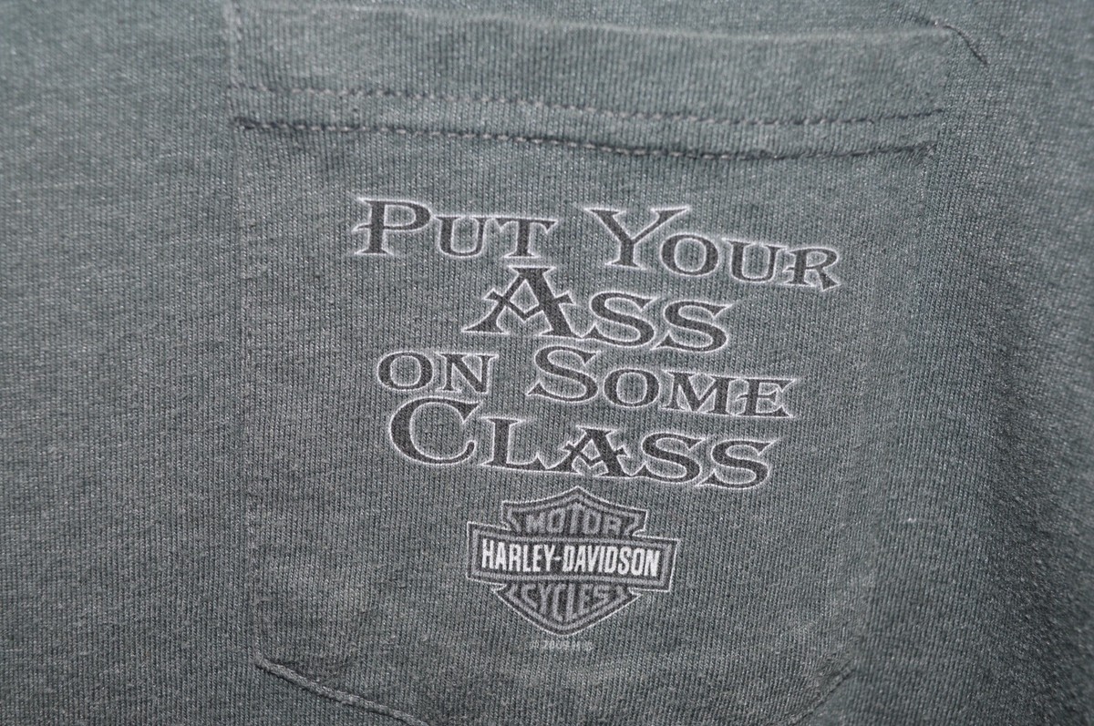 T-shirt Harley-Davidson Northern Lights Arbor Vitae - Taille M, Occasion Très Bon état