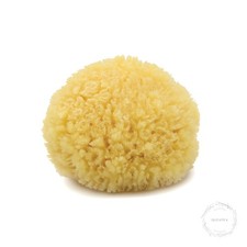 Caribbean Sea Sponge, Hand Cut, Medium, Approx. 5-6 inches