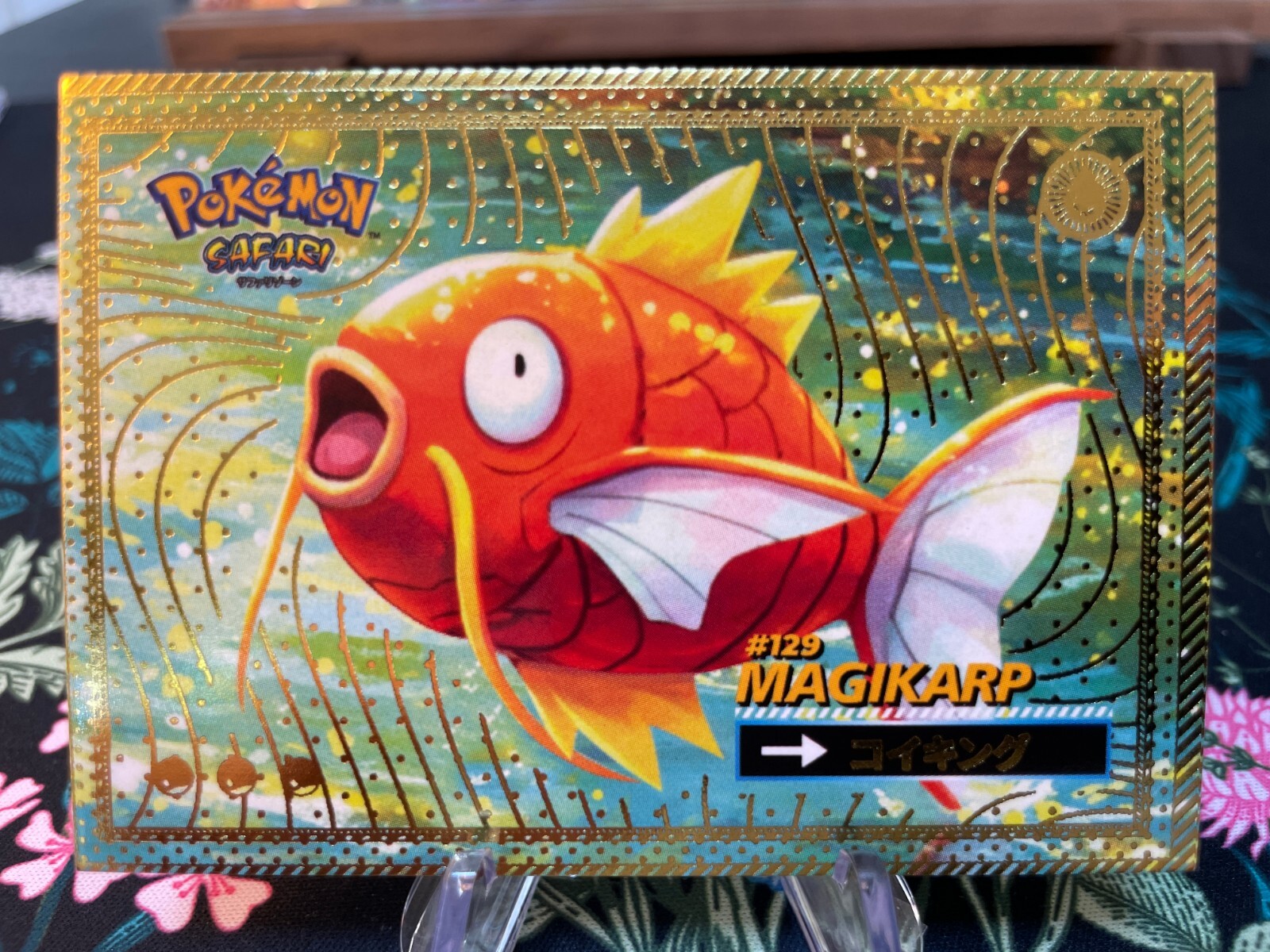 Magikarp #129 - Gold Holo Box Hit - Flash Edition Safari 2025 - Pokemon Card