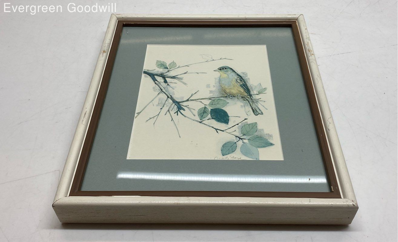 Framed Print of a Bird on a Branch