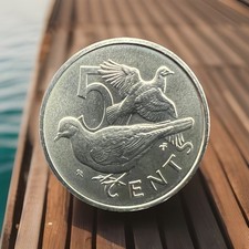 BRITISH VIRGIN ISLANDS 1973 5 CENTS, Zenaida Doves BIRDS MATTE UNC #18325