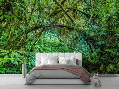 3D Nature Green Forest Self-adhesive Removeable Wallpaper Wall Mural