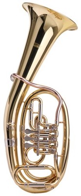 Tolles Tenorhorn, perfekt für Schüler und Einsteiger geeignet!
