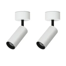 2 x 7W COB LED Ceiling Lamp Picture Light 360° Adjustable Spotlight Wall Fixture