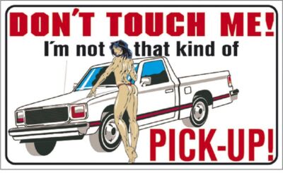 Schild - Dont touch me... Pick up! - 309210 - Gr. 25 x 15 cm
