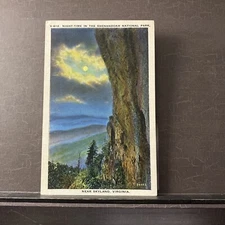 MOONLIGHT Shenandoah National Park Skyland VA Vintage Linen Postcard UNP
