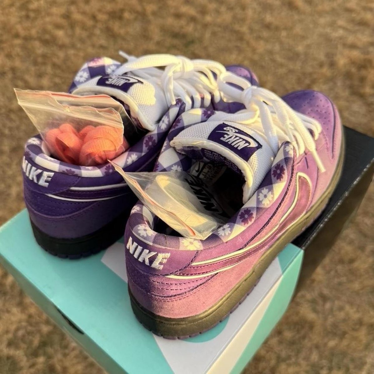 Nike SB Dunk Low x Concepts Purple Lobster - Size 9.5 DS