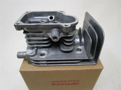 レジーナ21頭半分 Genuine Kawasaki Head 11008-2171 Head FJ180V Toro Time Master
