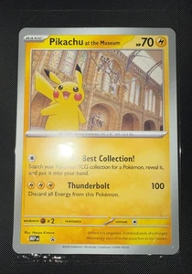 Pikachu at the Museum | eBay