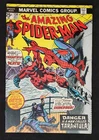 The AMAZING SPIDER-MAN #134 Marvel 1974 with MVS 2nd Punisher 1st Tarantula VF