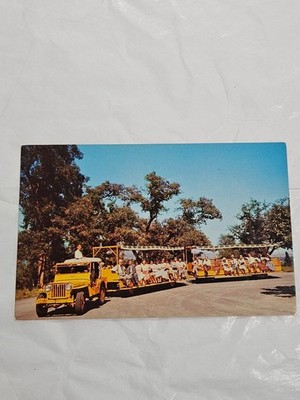 Guided tour vehicle used at the California Arboretum in the mid-1960s Postcard