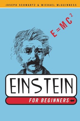 Einstein for Beginners Joseph Schwartz (u. a.) Taschenbuch Englisch 2003