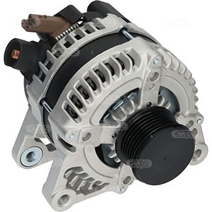 Picture 4