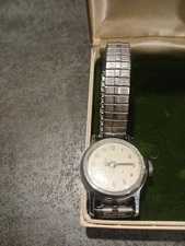A True TIMEX Collector's Watch.