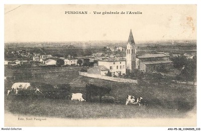 AVUP5-0315-38 - PUSIGNAN - General view of the avalla