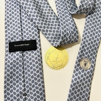 ERMENEGILDO ZEGNA Premium Light Blue Paisley Silk Tie 61x3.25  NWOT NEW Modern 