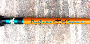 Fenwick World Class Casting Rod | eBay