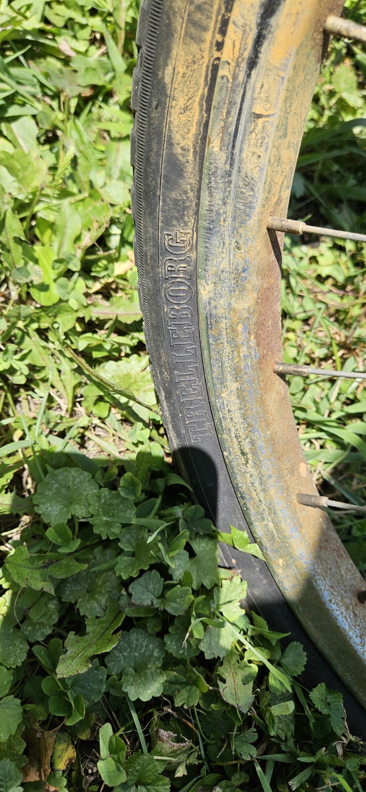 Picture 8 of 10
