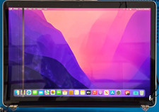 Issue  Apple MacBook Pro Retina 15 LCD Screen Display Assembly 2015 A1398