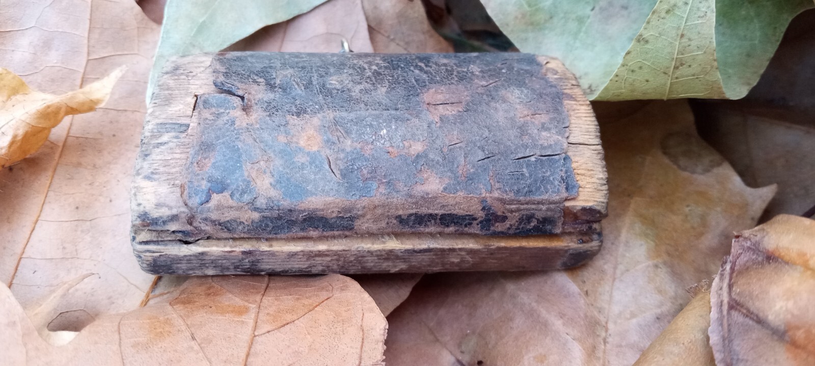 Bloodletting Tool W/Box Genuine Civil War Physicians Medical Tool. eBay