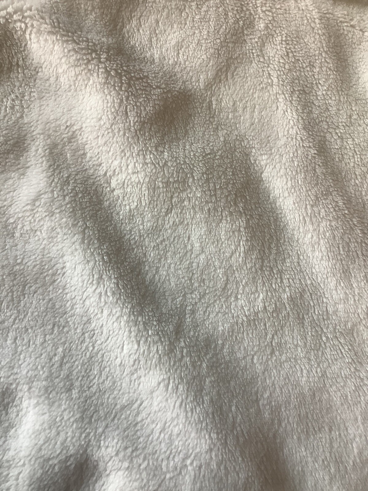 Picture 11 of 12