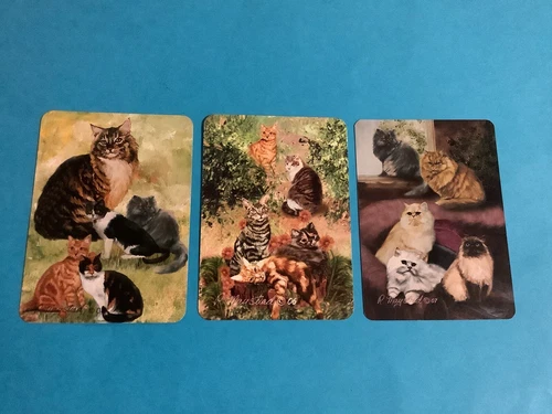 Modern Beautiful R Maystead X3 Cats Swap Cards New - Picture 1 of 2