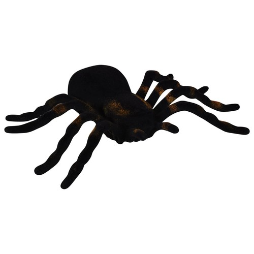 Fleckspinnen, 1-kt. & 2-kt. Packungen wählen Sie Farbe schwarz oder braun und Größe - Bild 5 von 7