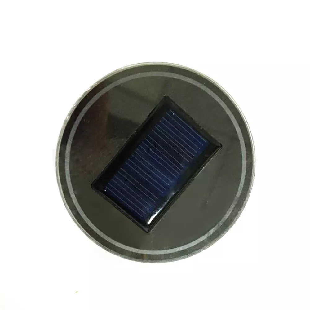 Picture 5 of 12