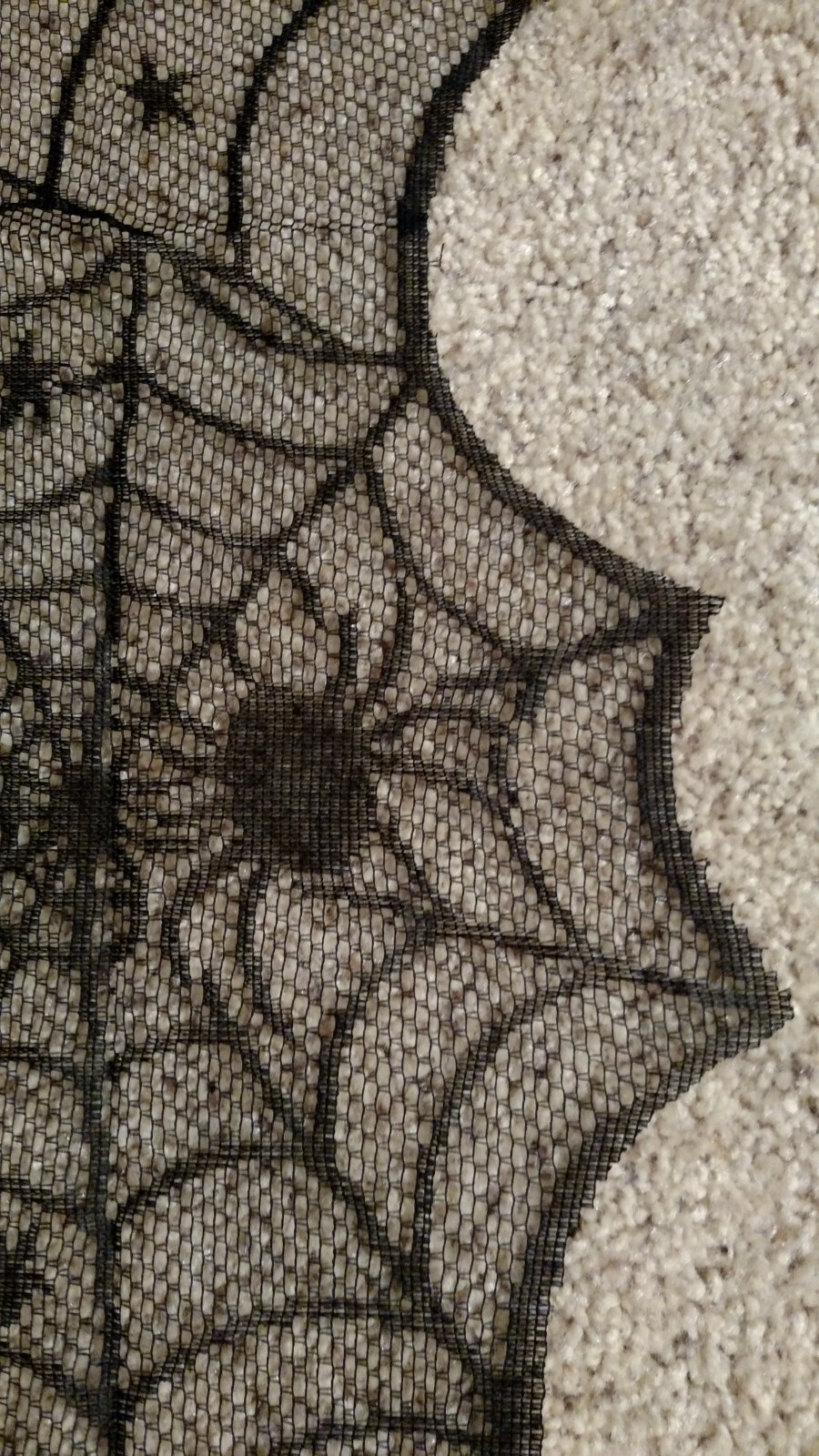 Picture 5 of 10