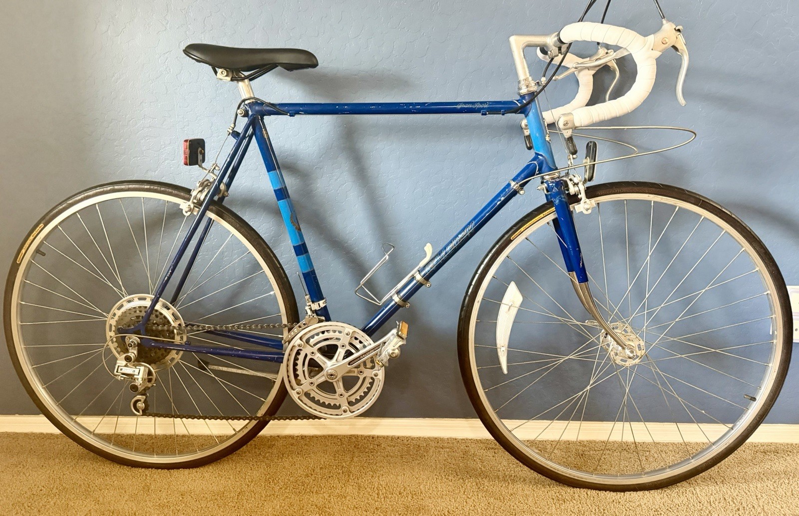 Rare Vintage Raleigh Gran Sport - Professional 10-Speed Bicycle