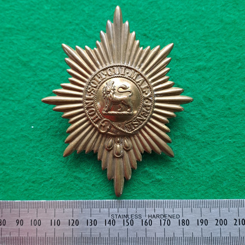 Worcestershire Regiment Valise Cap Badge British Army