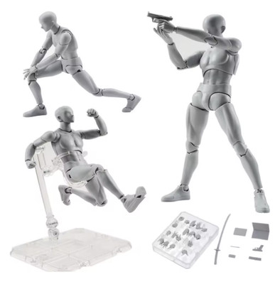 Body Kun Body Chan Drawing Figure Male Female Model Toy