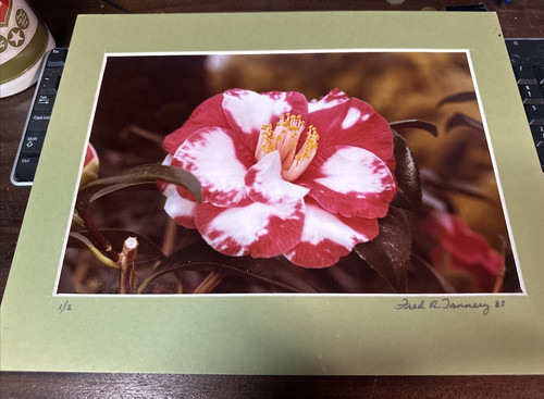 Flower Color Photo by Fred R. Tannery 14 by 11