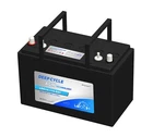 12V 115AH LEOCH AGM LEAD CARBON DEEP CYCLE BATTERY (LDC12-115-G31-DT)