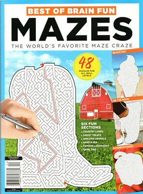 BEST OF BRAIN FUN MAZES World's Favorite Maze Craze 2022 48 Puzzles/6 Sections