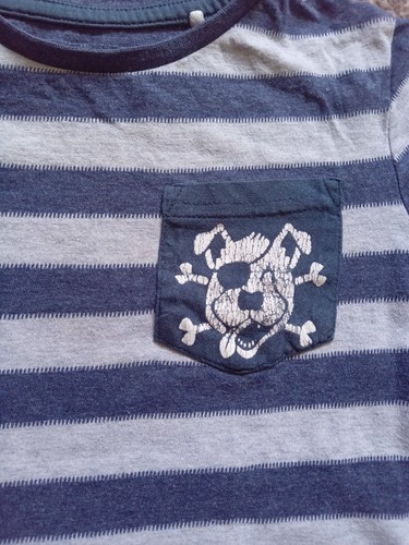 Baby Boys Age 18-24 Months Summer Clothes Bundle T-shirt Shorts Pirates - Picture 3 of 15