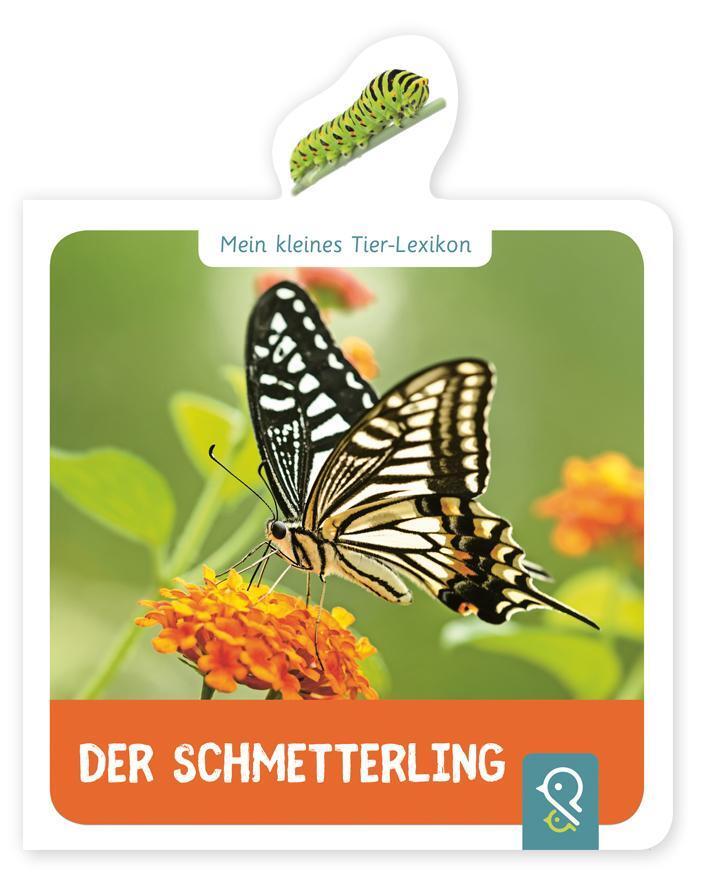 Thumbnail - Mein Kleines Tier-lexikon - Der Schmetterling, Hannah Kastenhuber