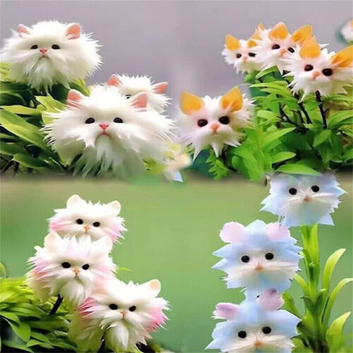 Gran cara de flores semillas de orquídea están llenas de plantas de jardín en maceta fragantes - Imagen 4 de 20
