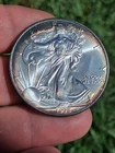 1998 American Eagle 1oz Silver Great RIM Tone