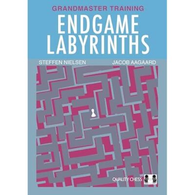 Endgame Labyrinths - Taschenbuch NEU Aagaard, Jacob 01.08.2024