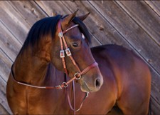 Western Brown Leather Set Bit less Bridle and Split Reins : AWQ9014