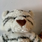 Foto 7 di 12