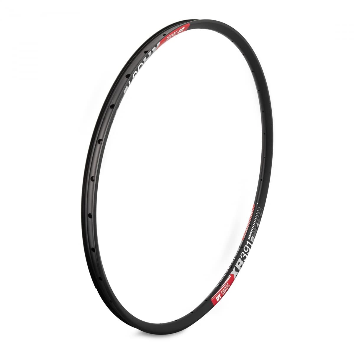 DT Swiss XR 391 SBWT - Cerchi specifici per dischi forati, 29", colore: Nero 32