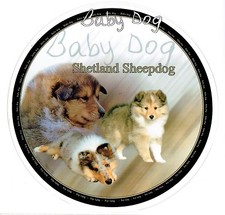 Design Sticker Shetland Sheepdog 3 Sheltie Puppies Dog Dog Car Sticker 15cm