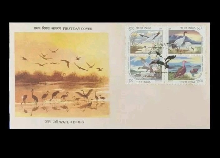 India 1994 Aves acuáticas en peligro de extinción Setenet bloque retirado FDC escaso raro Foto 2 de 2