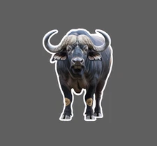 Cape Buffalo Sticker Waterproof Decal Animal Outdoor Wildlife Hunting Gift NEW