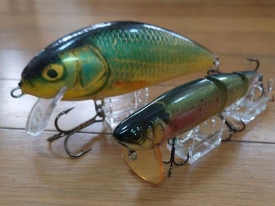 Wake series 2 selections Salmo Poland Floating 14 & Jackal Mikey