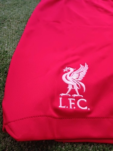 Kurze Liverpool F.C.Season 23/24 Primera Kit nike Neu - Bild 3 von 7